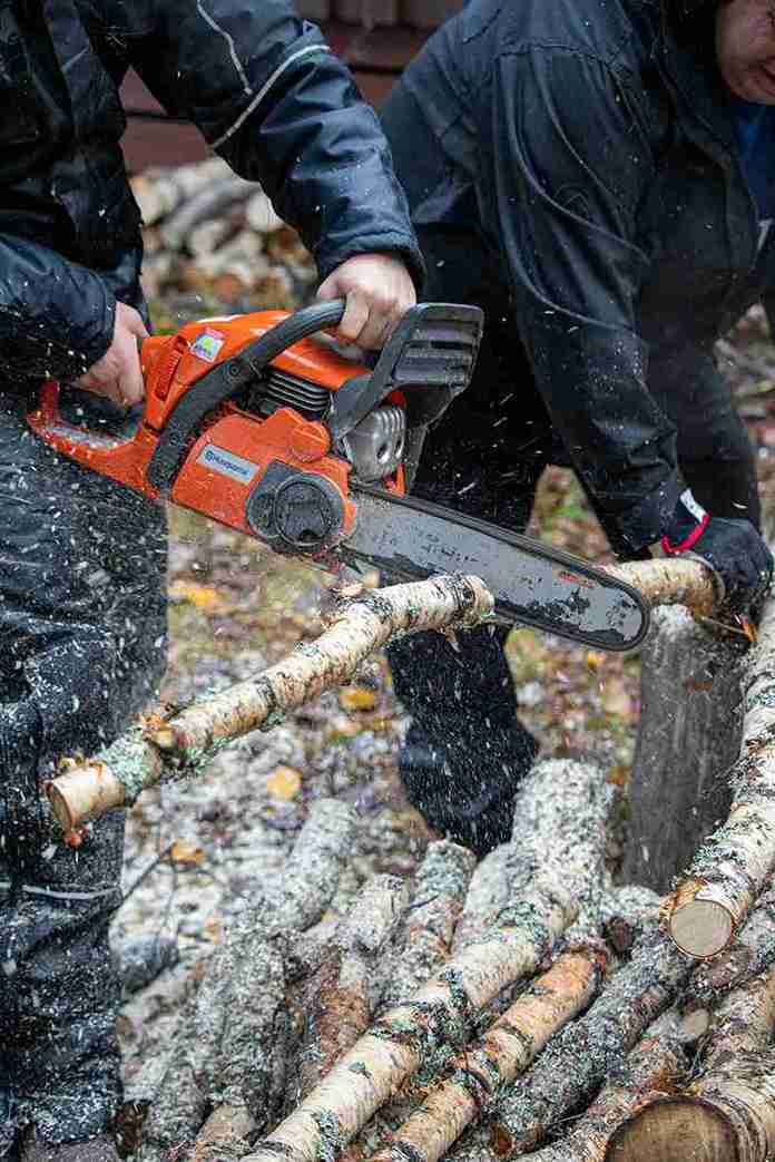 How to Take Care of An Olive Tree