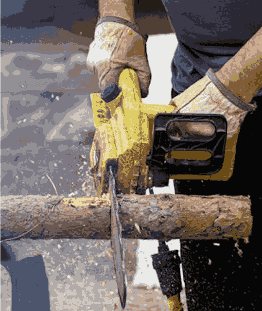 Tree Services in Happy Valley