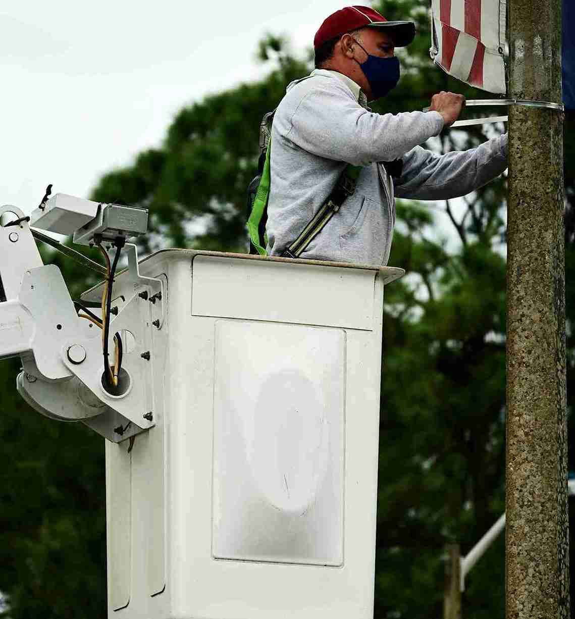 tree trimming service