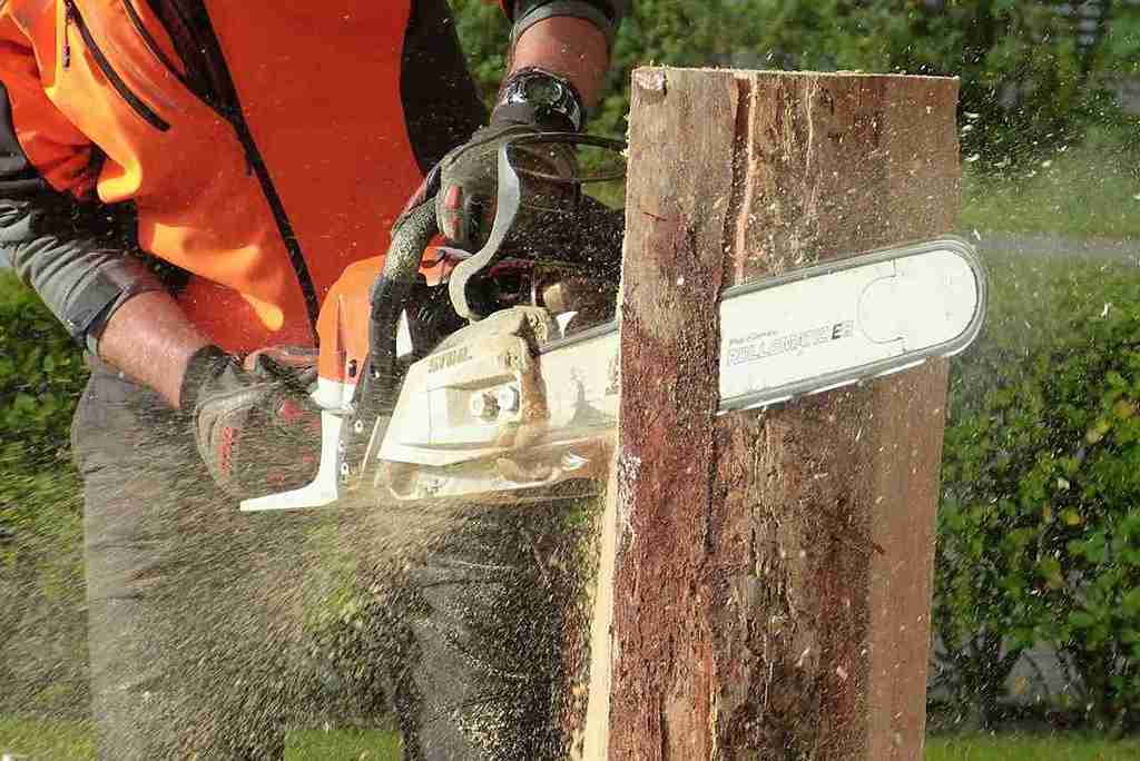 stump grinding in portland oregon