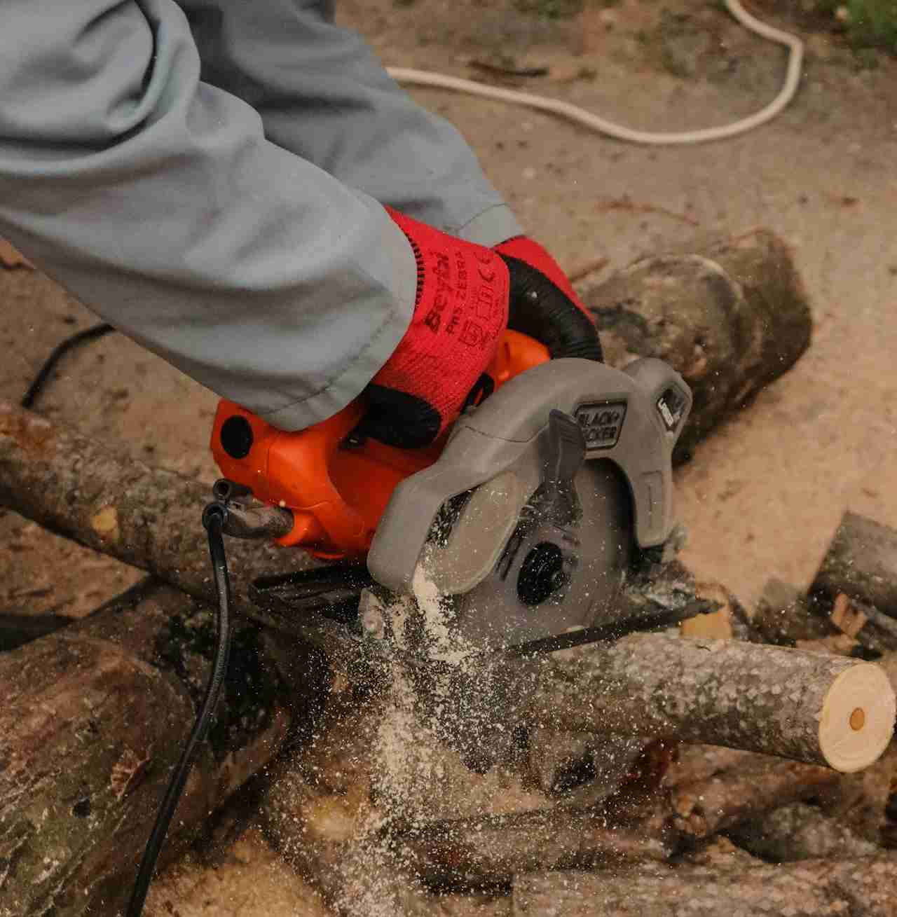tree stump removal expert