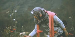 Pruning Before Transplant
